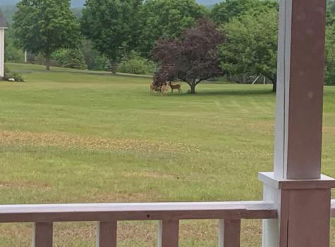 227 Back Road Skowhegan ME 04976