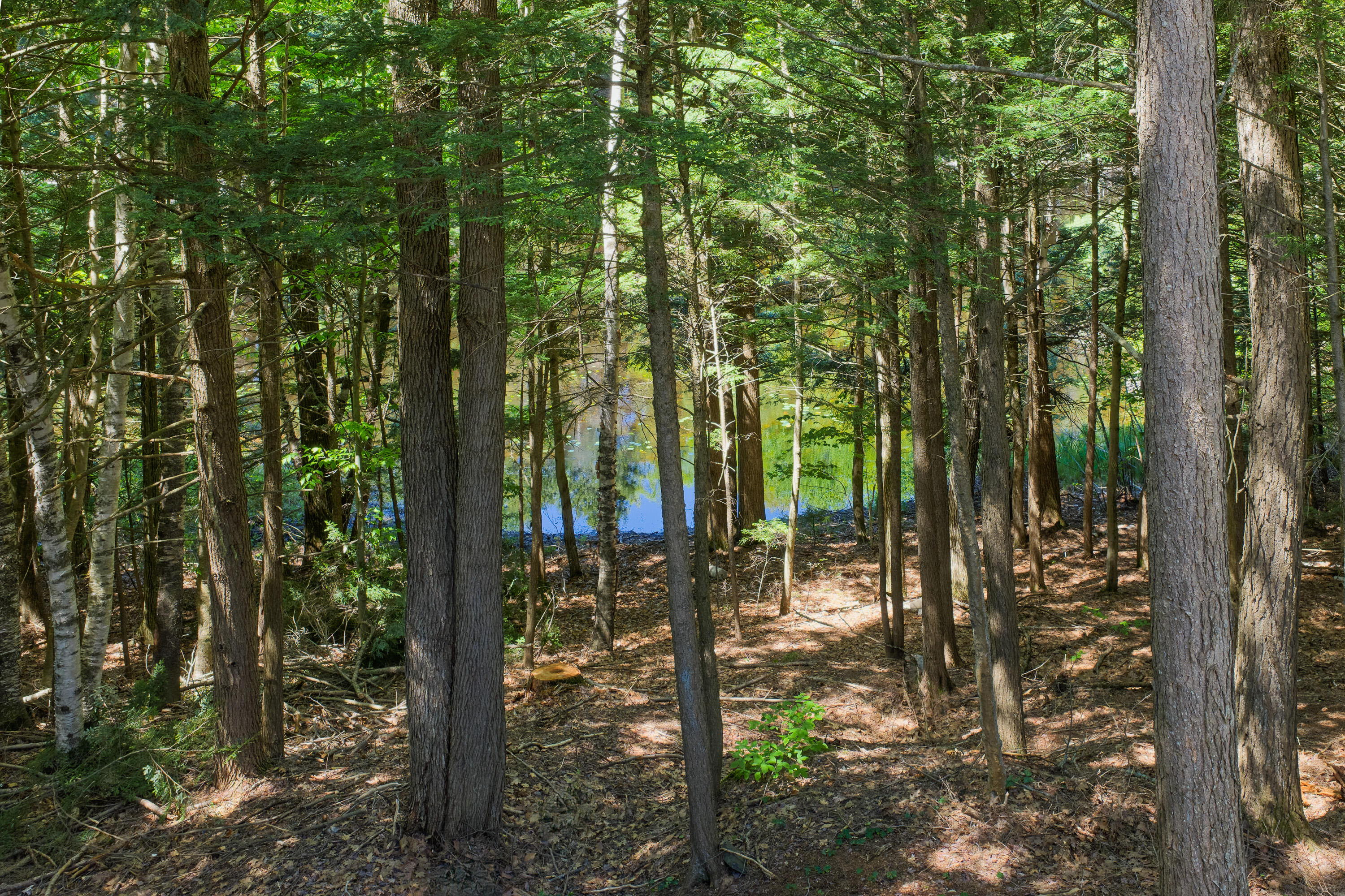 29 Pond Shore Drive Cumberland ME 04021