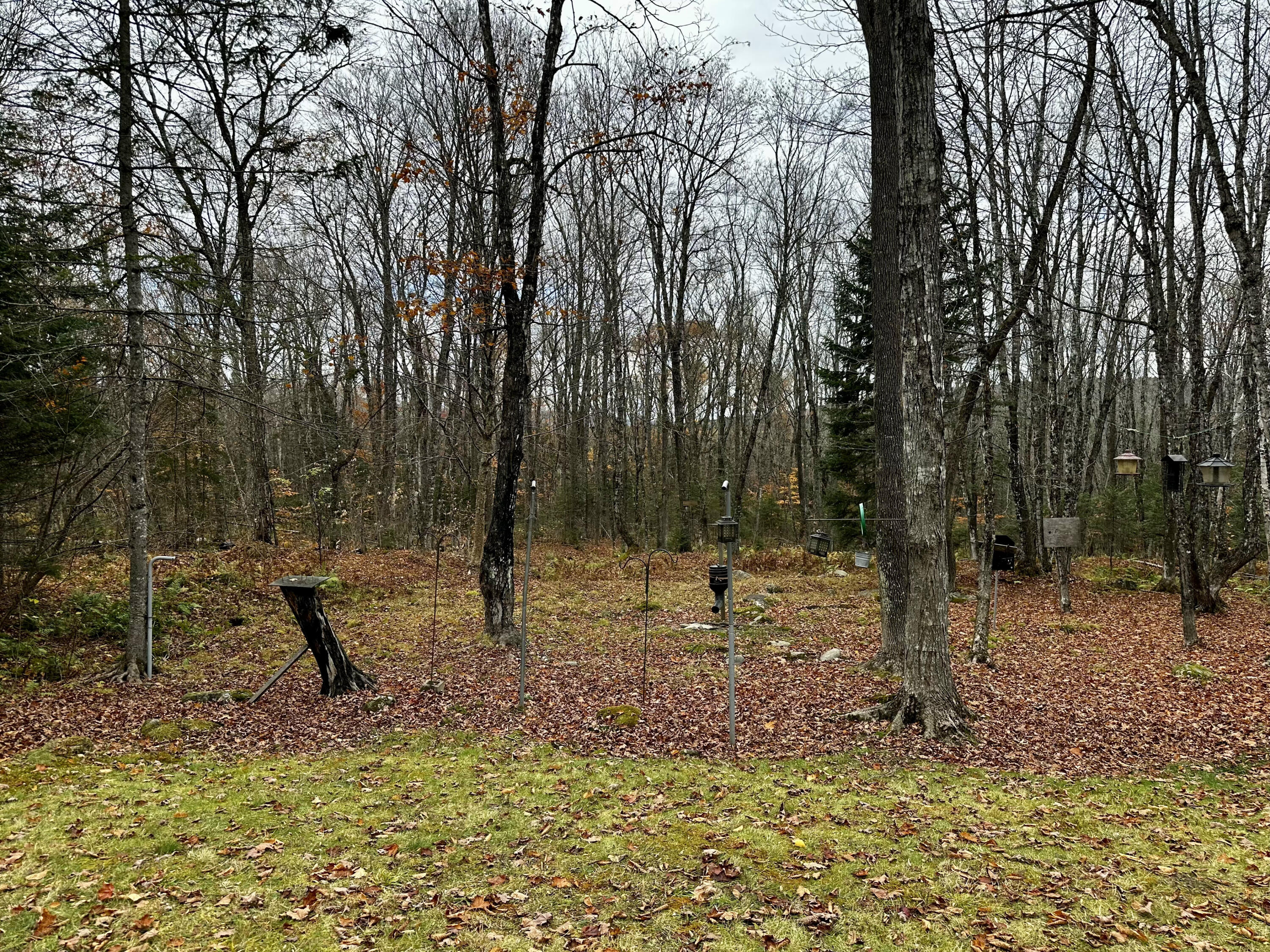 78 Oak Ridge Road Shirley ME 04485