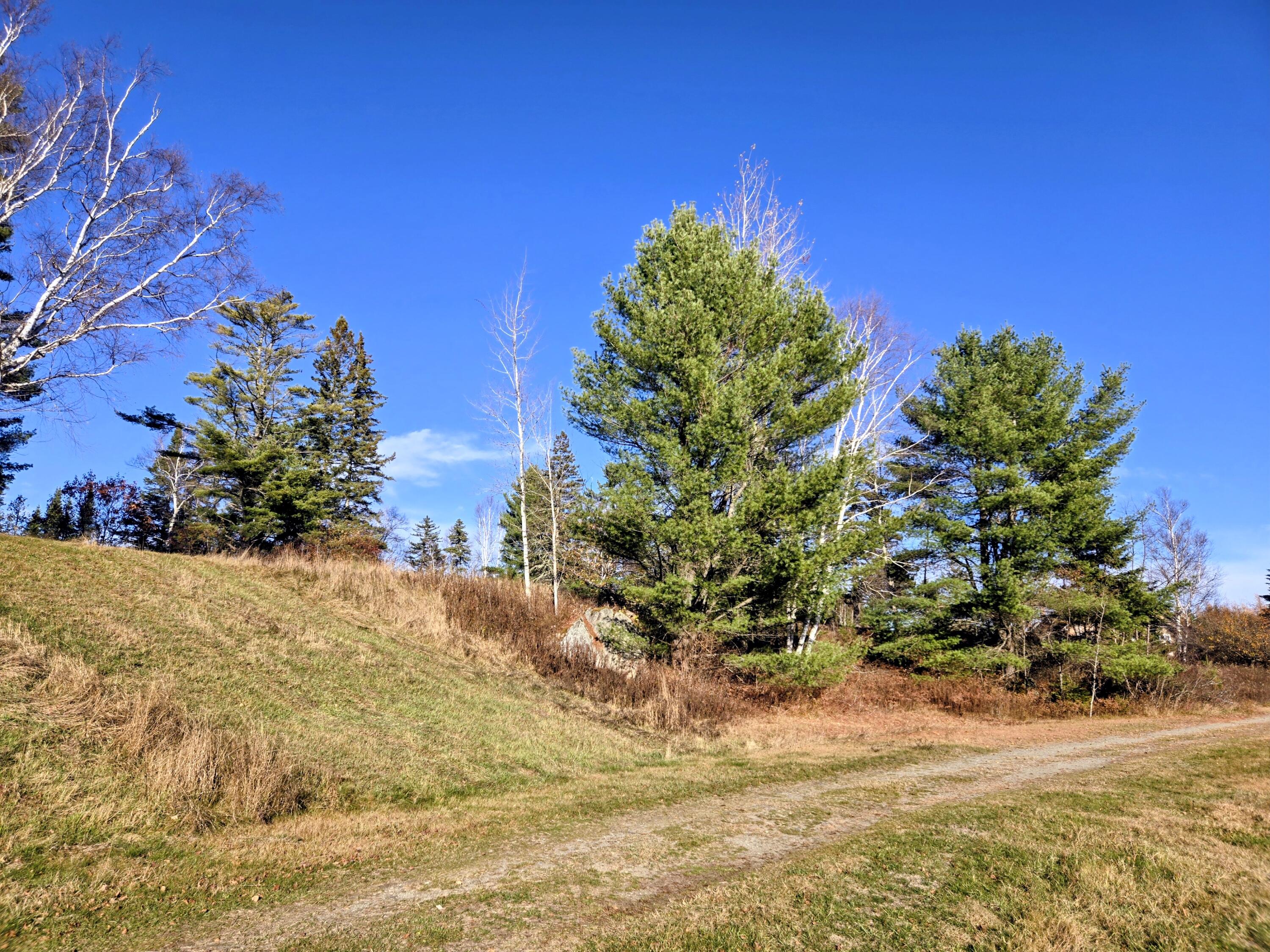 Lot 11 Holeb Road Holeb Twp ME 04985