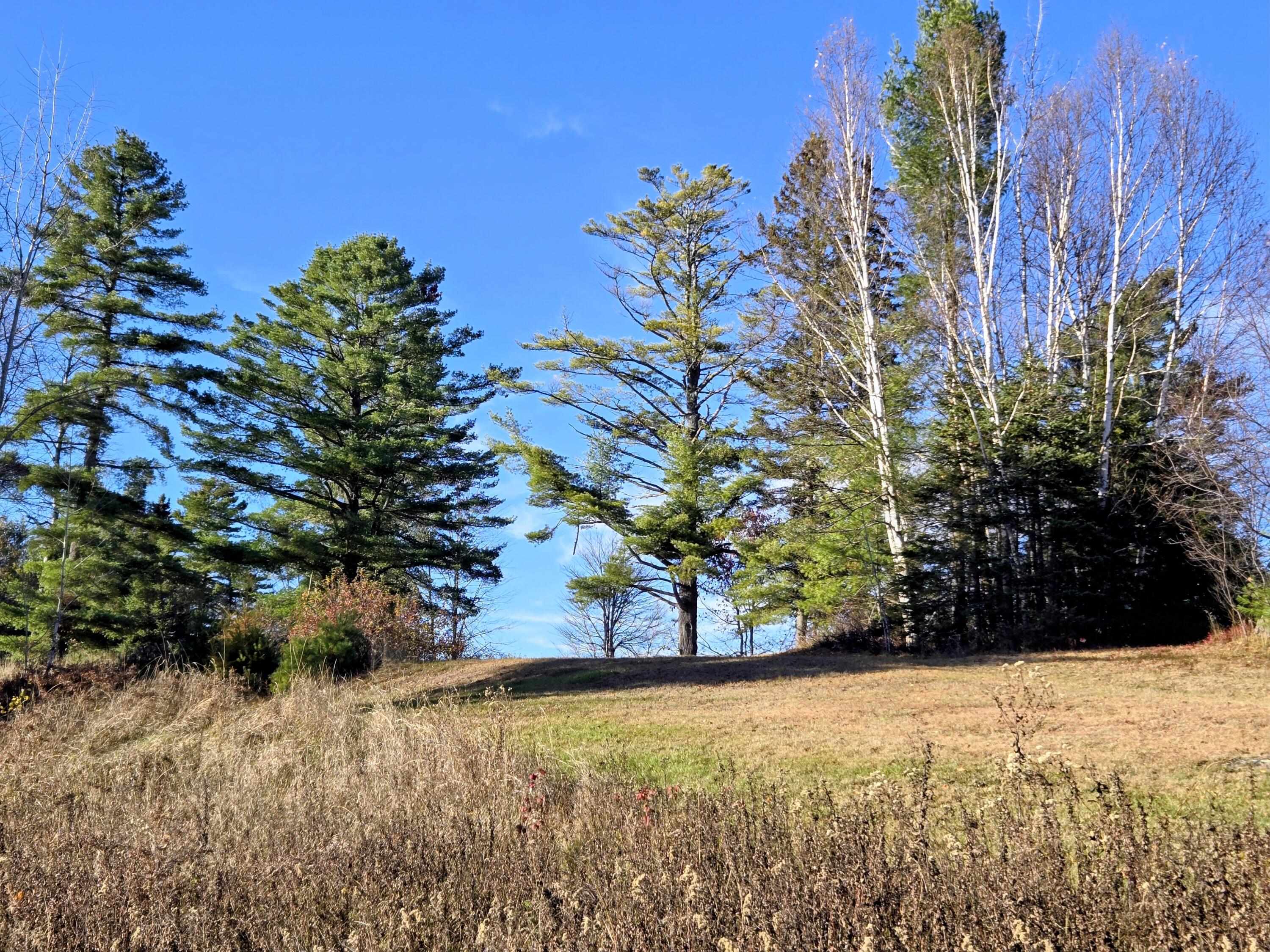 Lot 11 Holeb Road Holeb Twp ME 04985