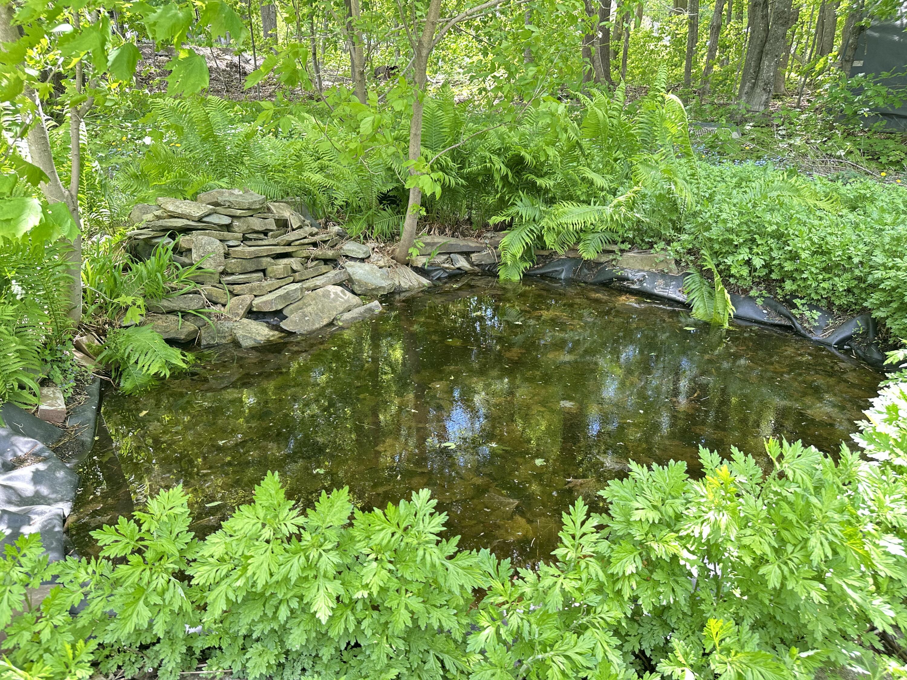 43 Maple Street Dexter ME 04930