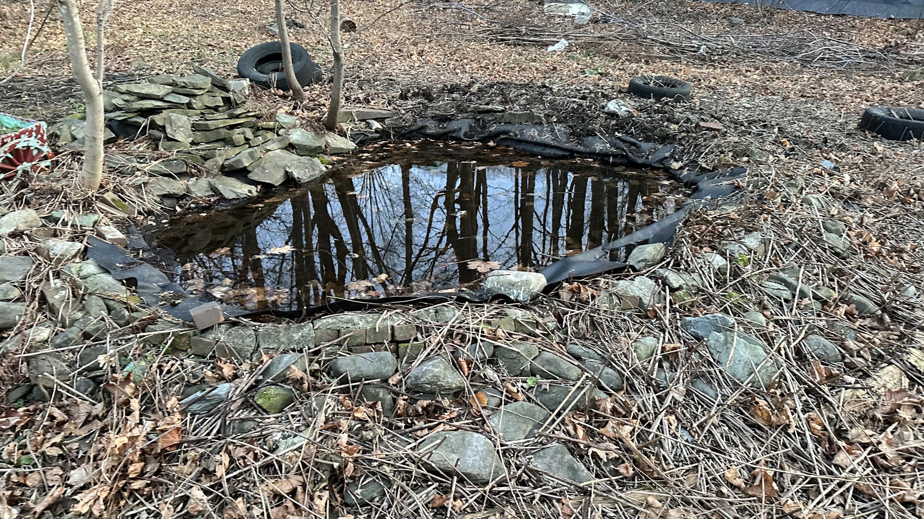 43 Maple Street Dexter ME 04930