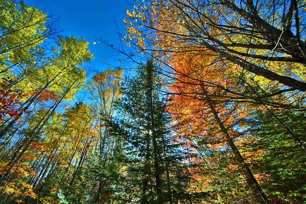 2053 Forest City Road Forest City Twp ME 04413