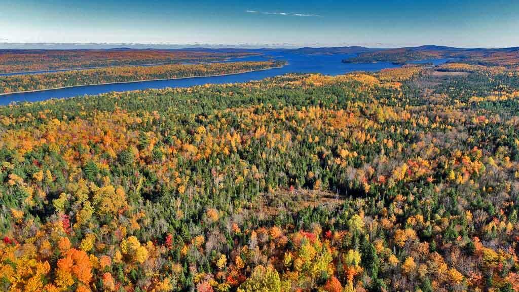 2053 Forest City Road Forest City Twp ME 04413