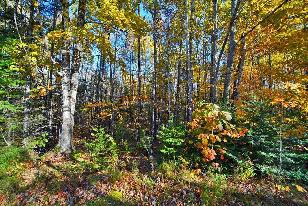 2053 Forest City Road Forest City Twp ME 04413