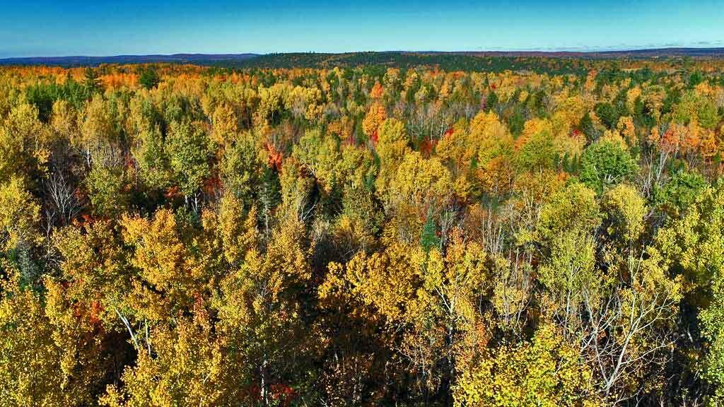 2053 Forest City Road Forest City Twp ME 04413