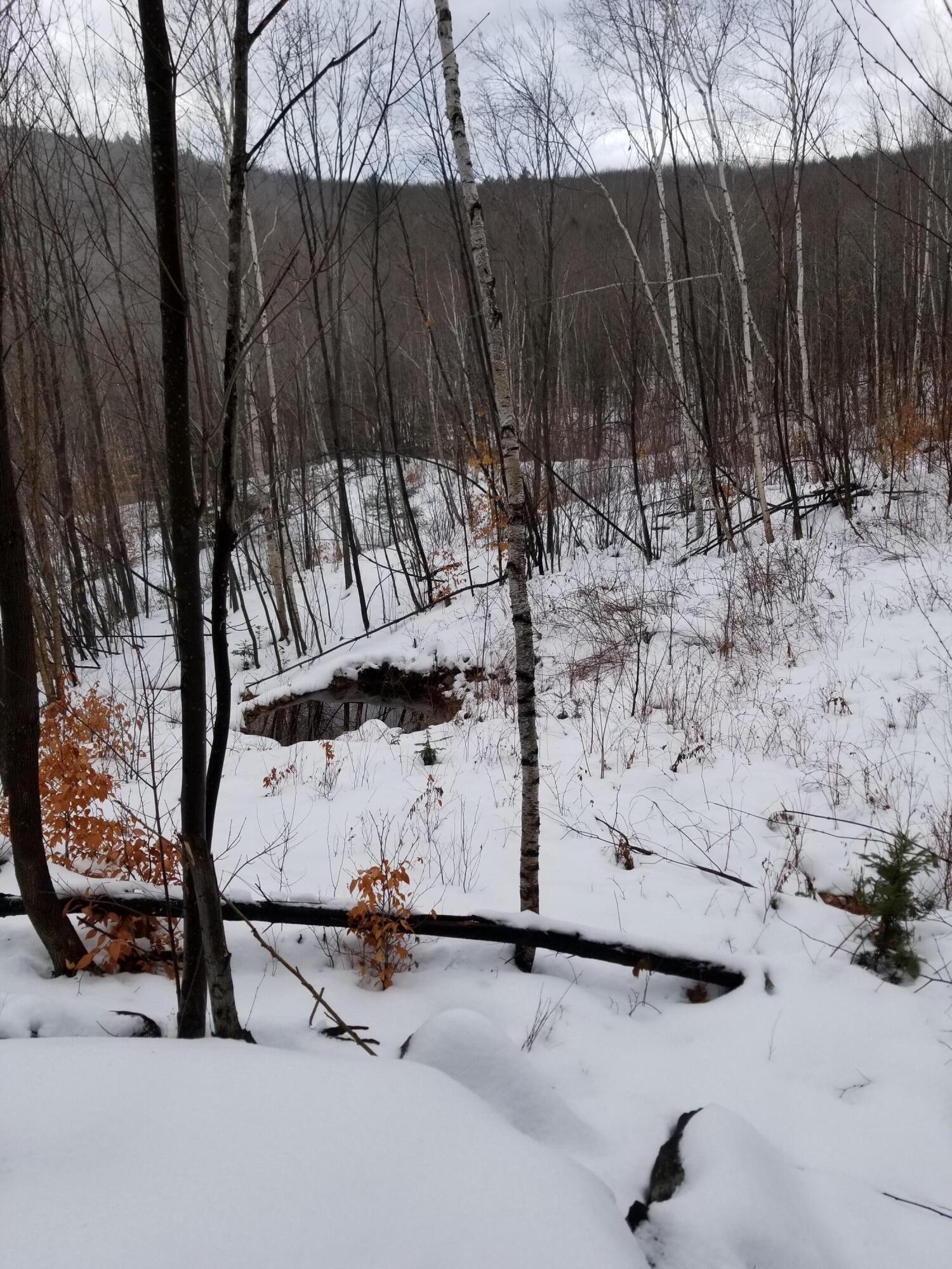 71 Mountain View Drive Hartford ME 04220