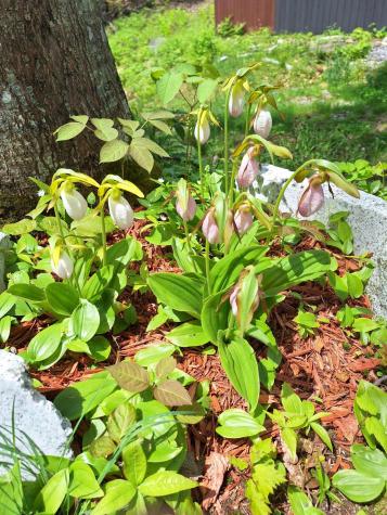 71 Mountain View Drive Hartford ME 04220