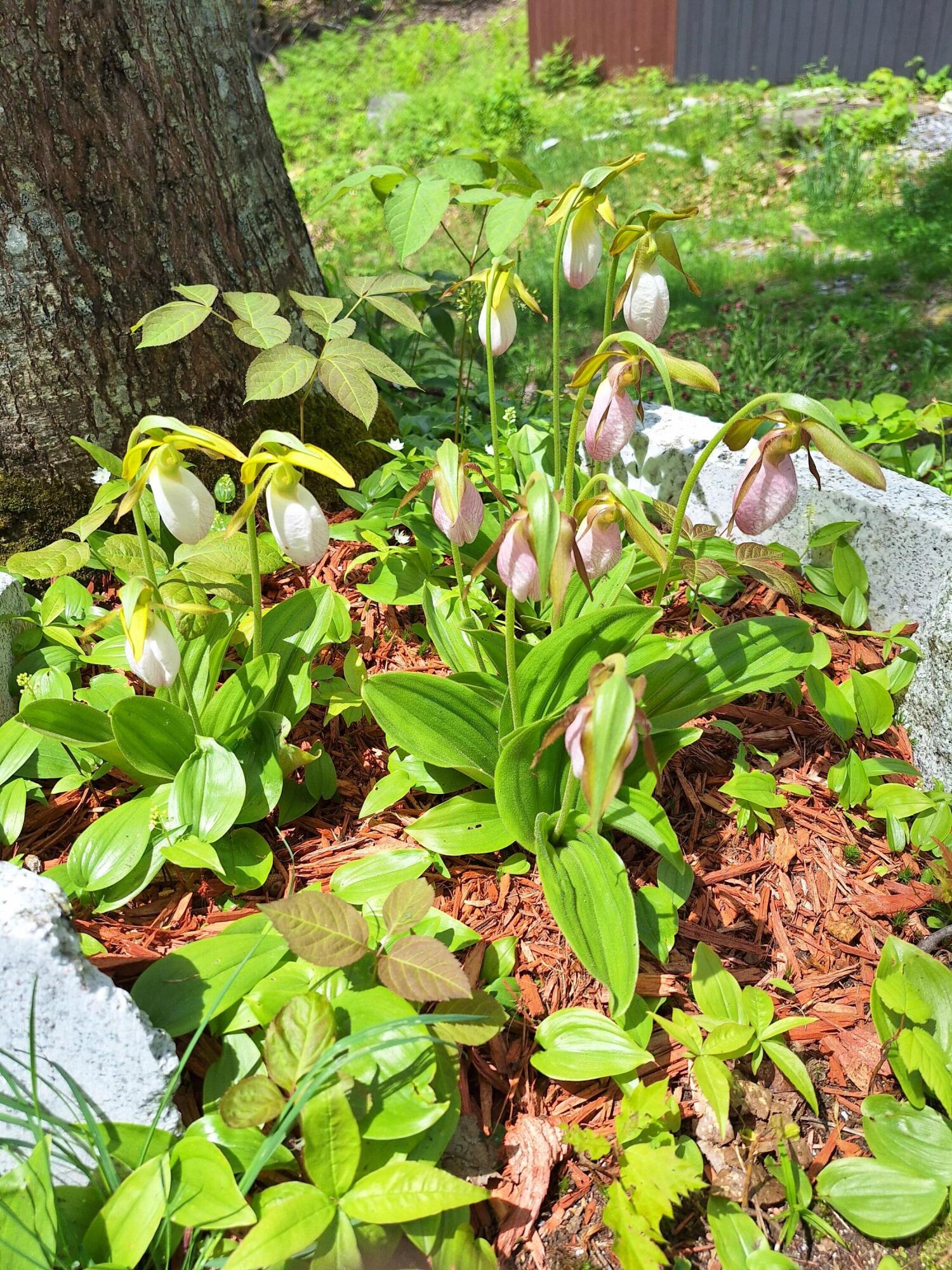 71 Mountain View Drive Hartford ME 04220