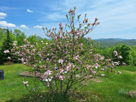 71 Mountain View Drive Hartford ME 04220