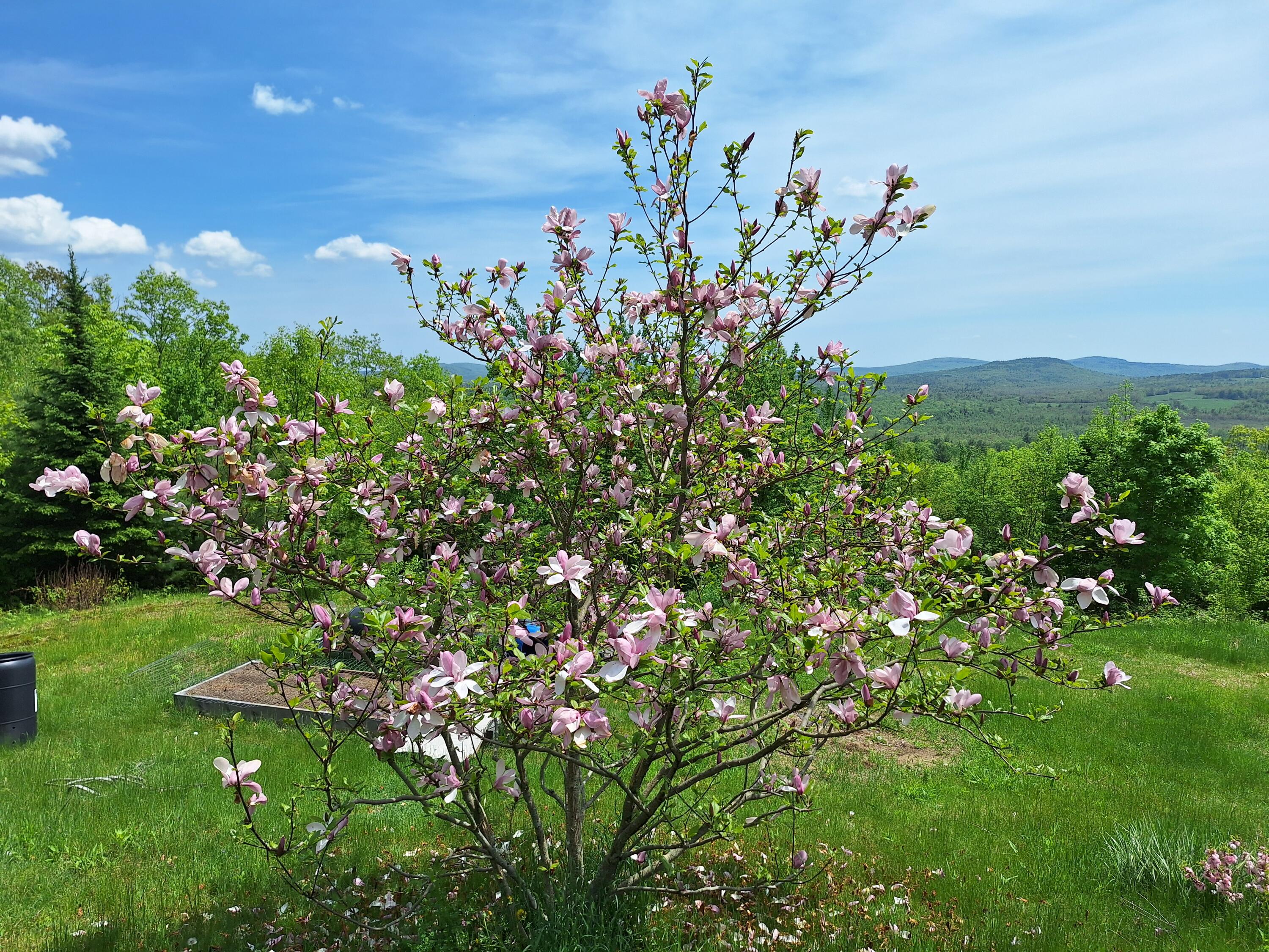 71 Mountain View Drive Hartford ME 04220