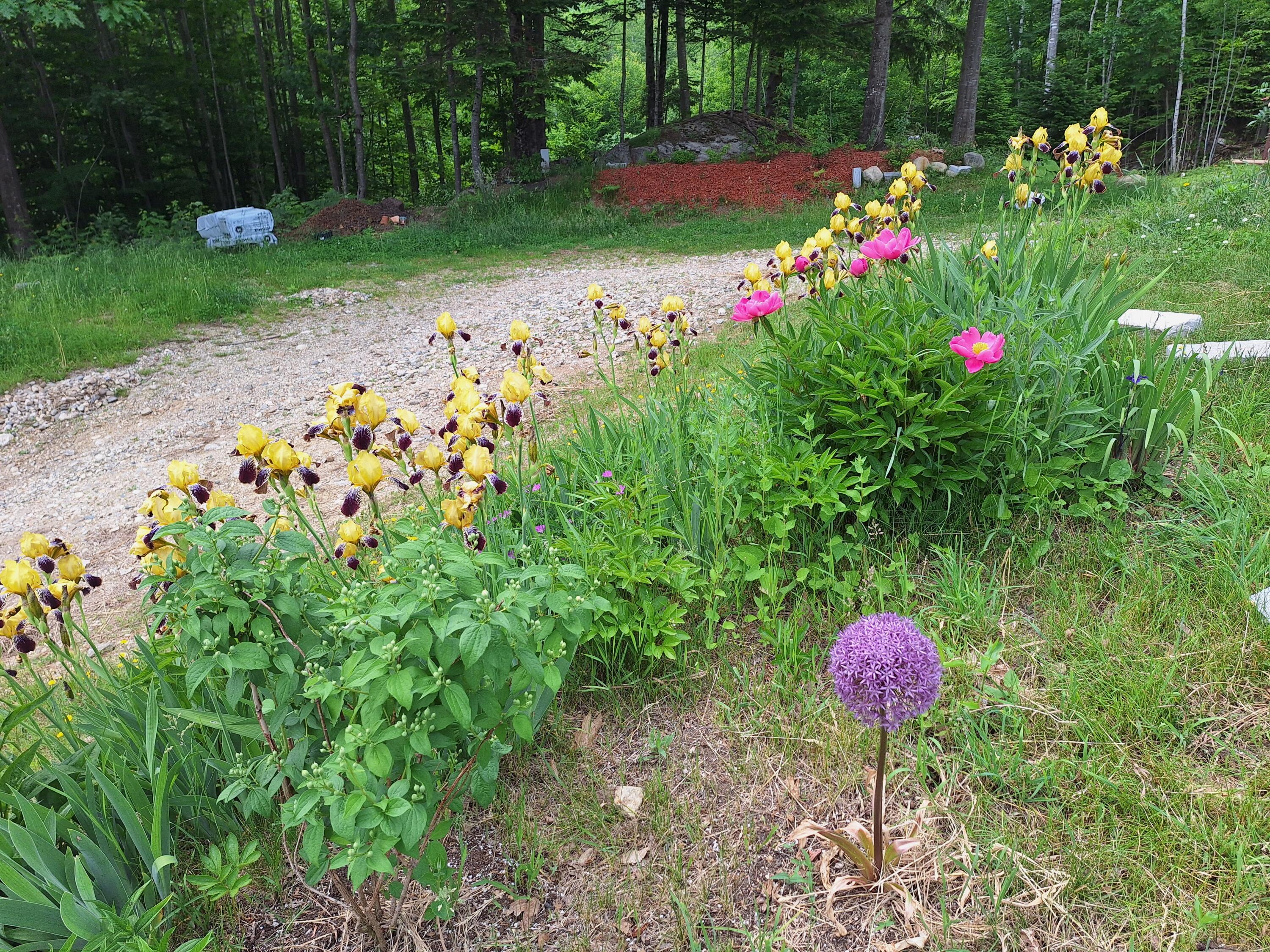 71 Mountain View Drive Hartford ME 04220