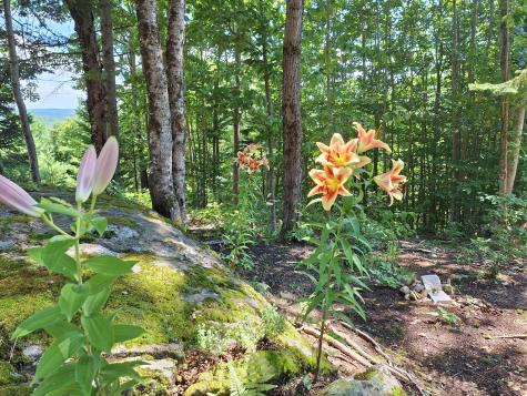 71 Mountain View Drive Hartford ME 04220