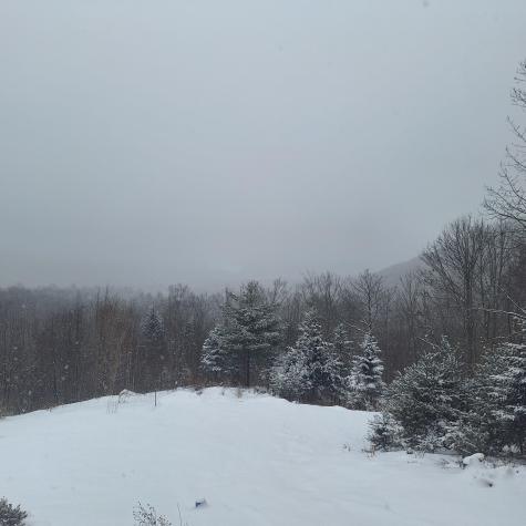 71 Mountain View Drive Hartford ME 04220