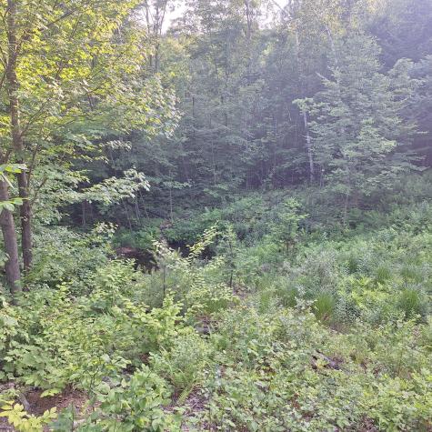 71 Mountain View Drive Hartford ME 04220