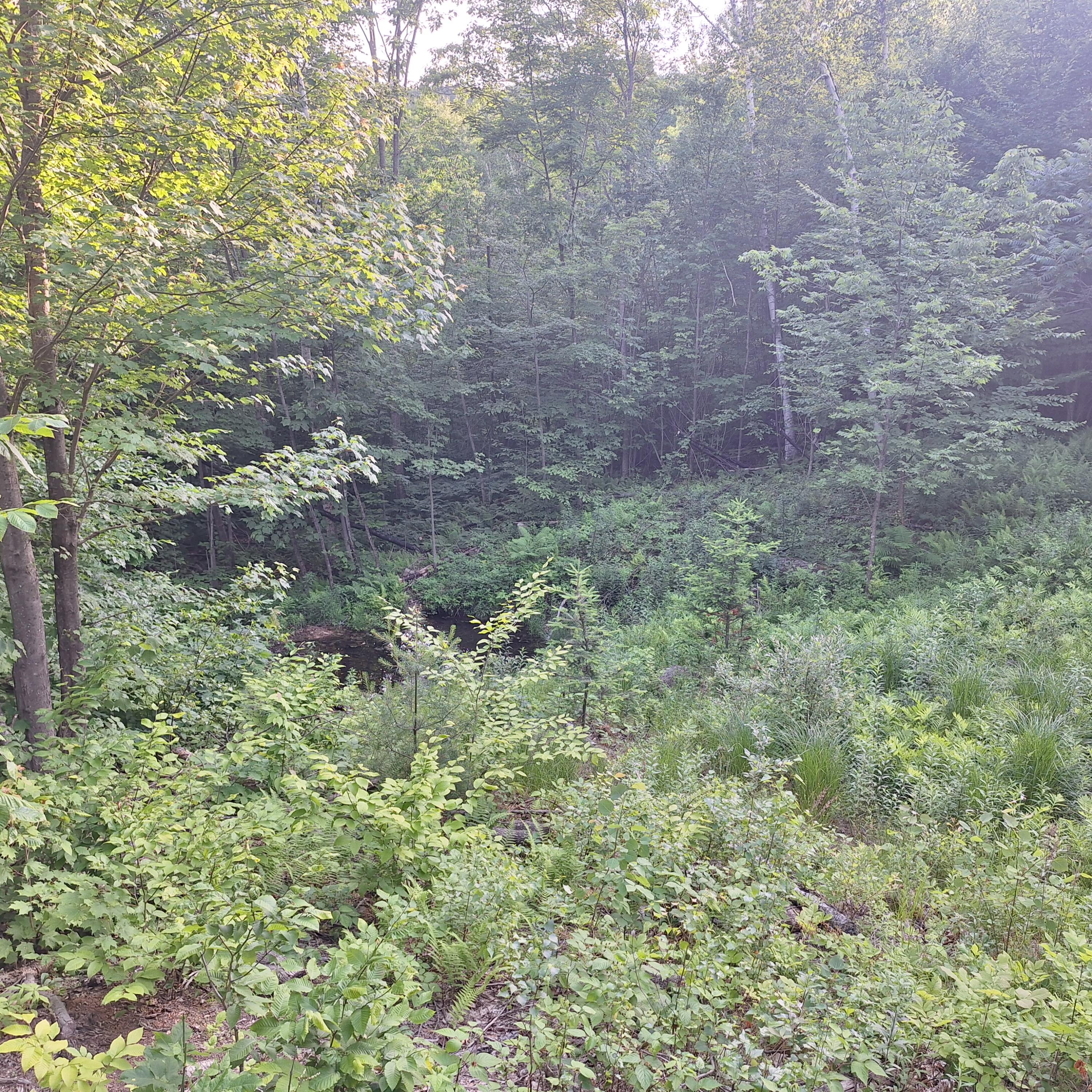 71 Mountain View Drive Hartford ME 04220