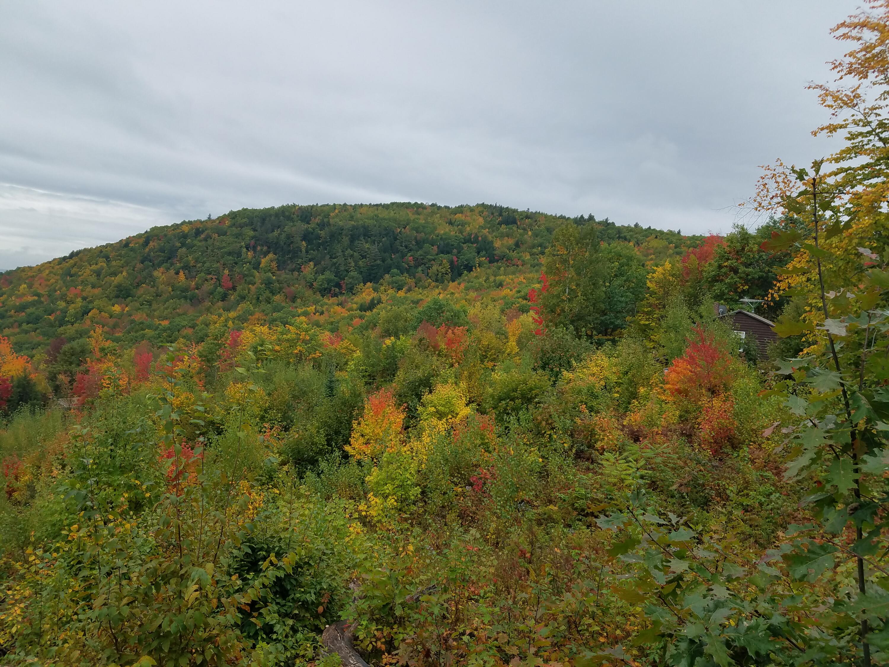 71 Mountain View Drive Hartford ME 04220