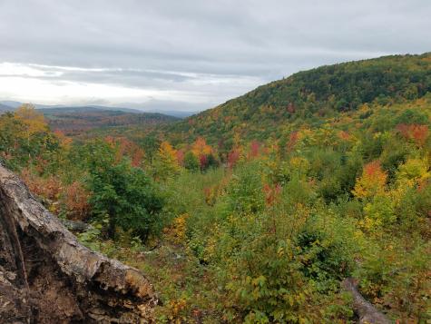 71 Mountain View Drive Hartford ME 04220