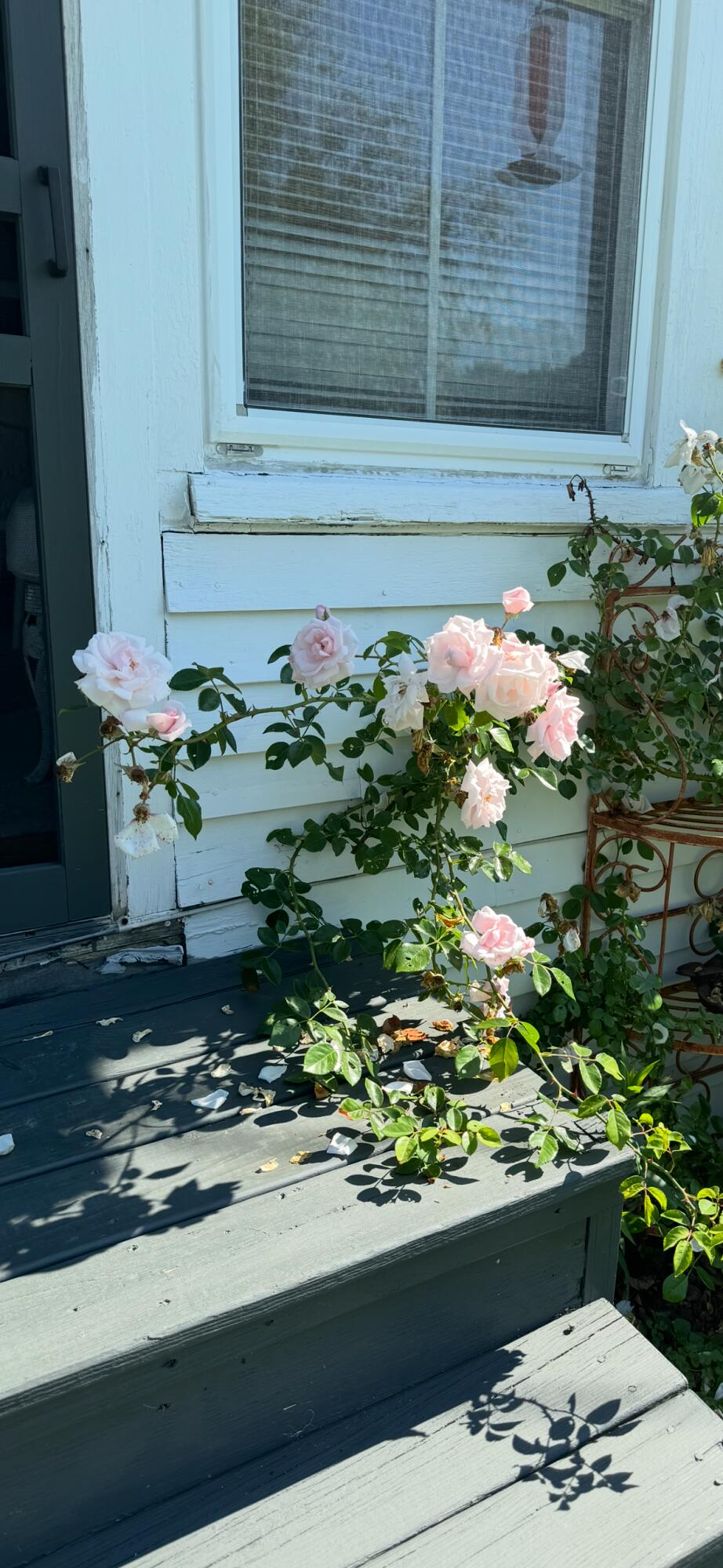 672 Spruce Head Road South Thomaston ME 04858