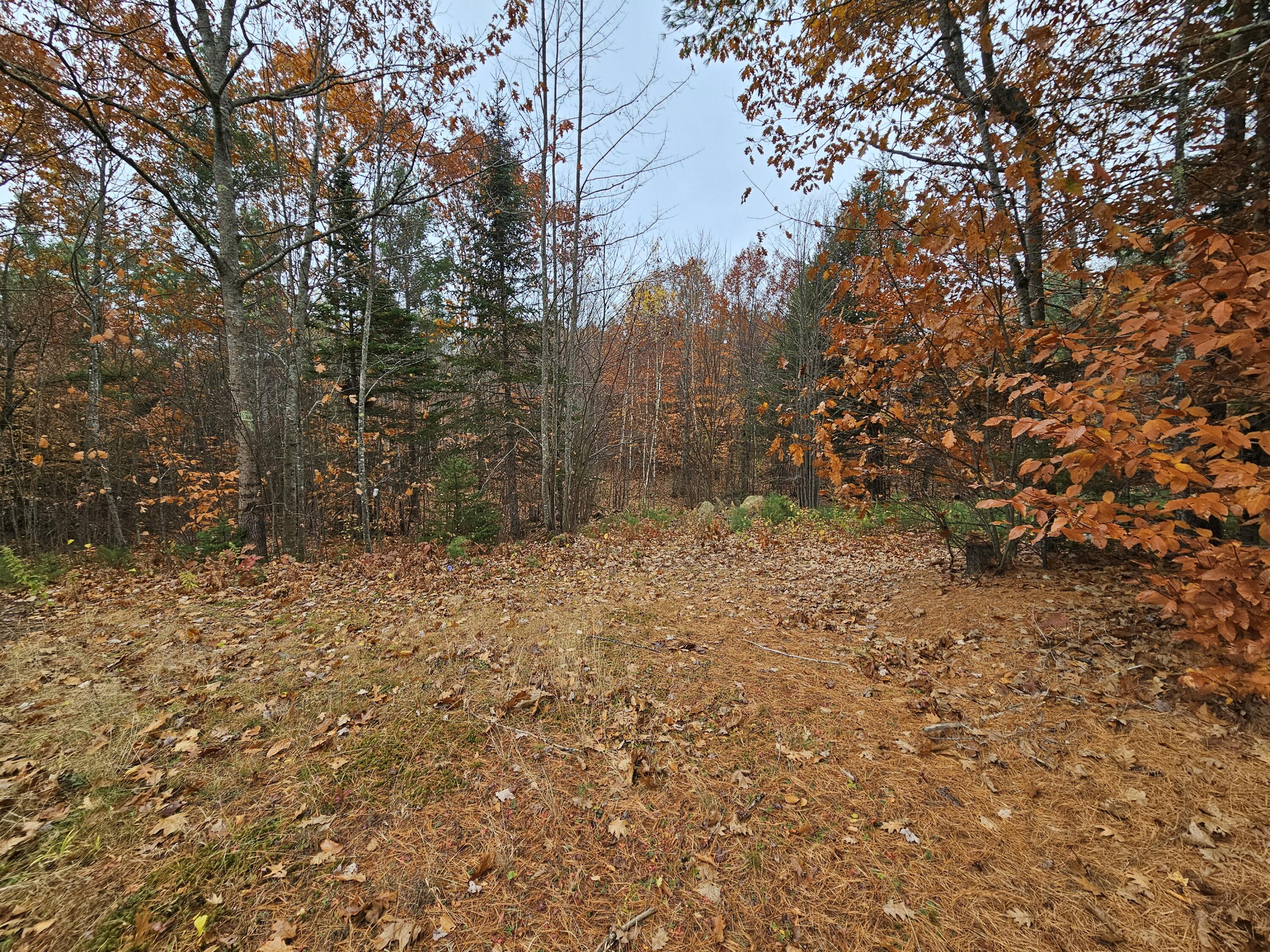 37 Goldenrod Lane Hebron ME 04238