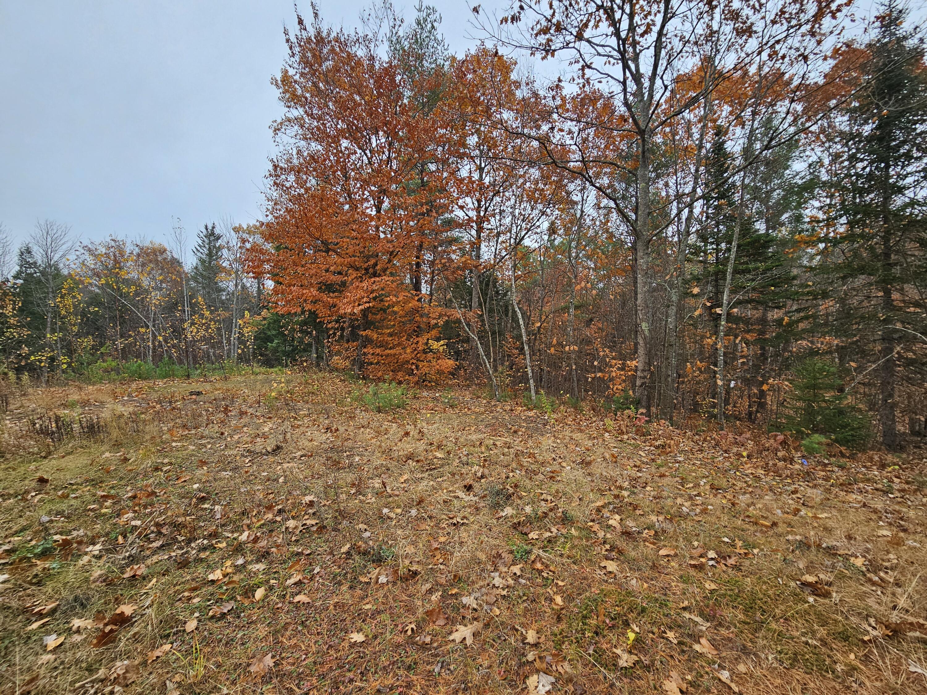 37 Goldenrod Lane Hebron ME 04238