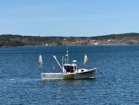 7 Johnson Street Eastport ME 04631