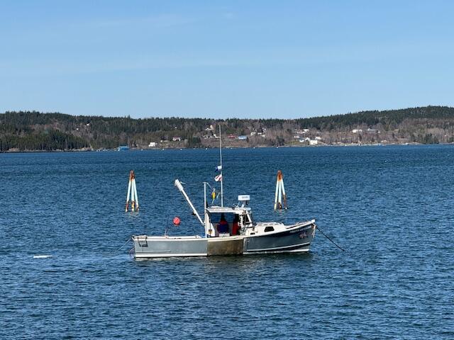 7 Johnson Street Eastport ME 04631