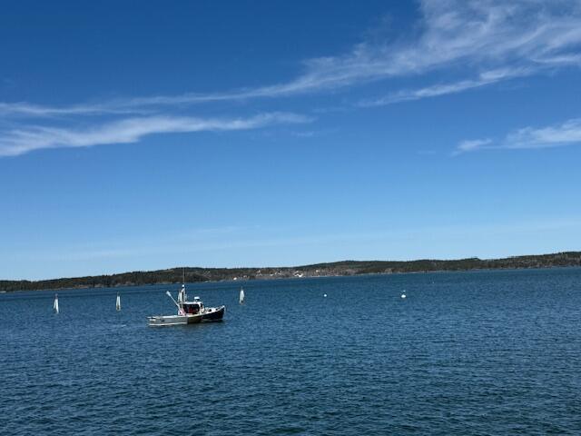 7 Johnson Street Eastport ME 04631