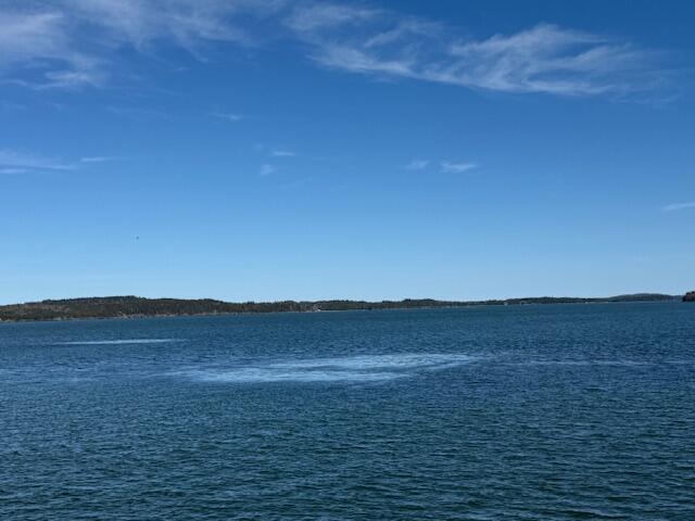 7 Johnson Street Eastport ME 04631