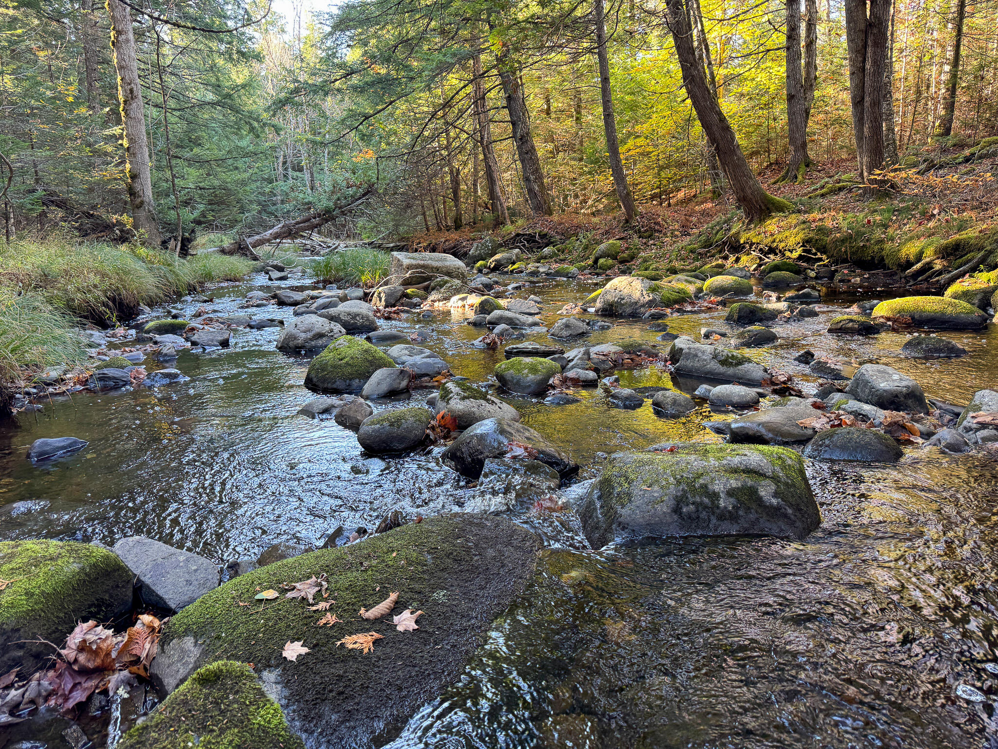 74 Castle Road Harmony ME 04942