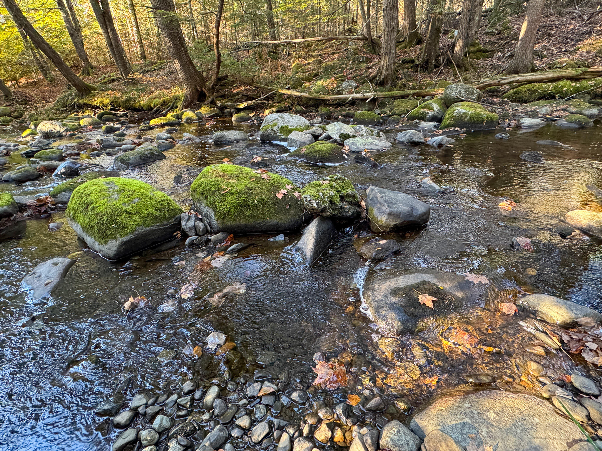 74 Castle Road Harmony ME 04942