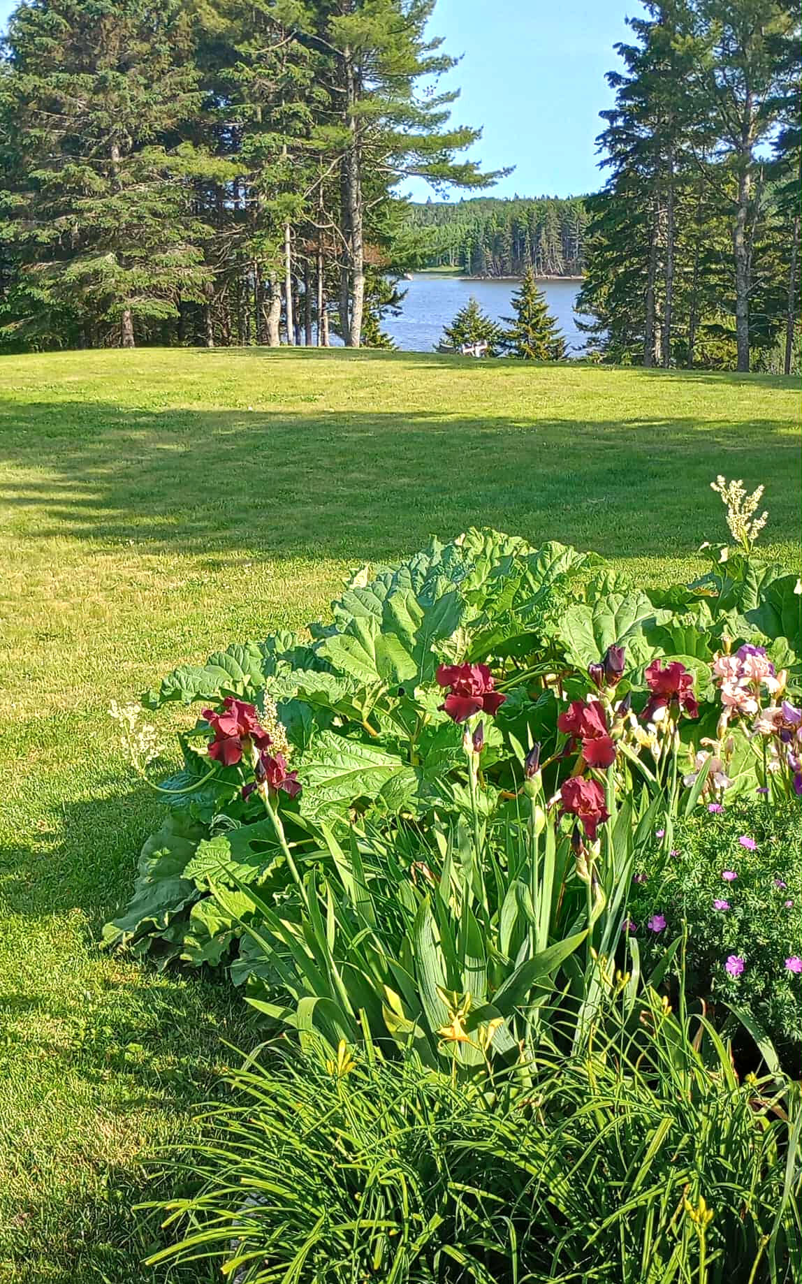 185 Old Us Route 1 Jonesboro ME 04648