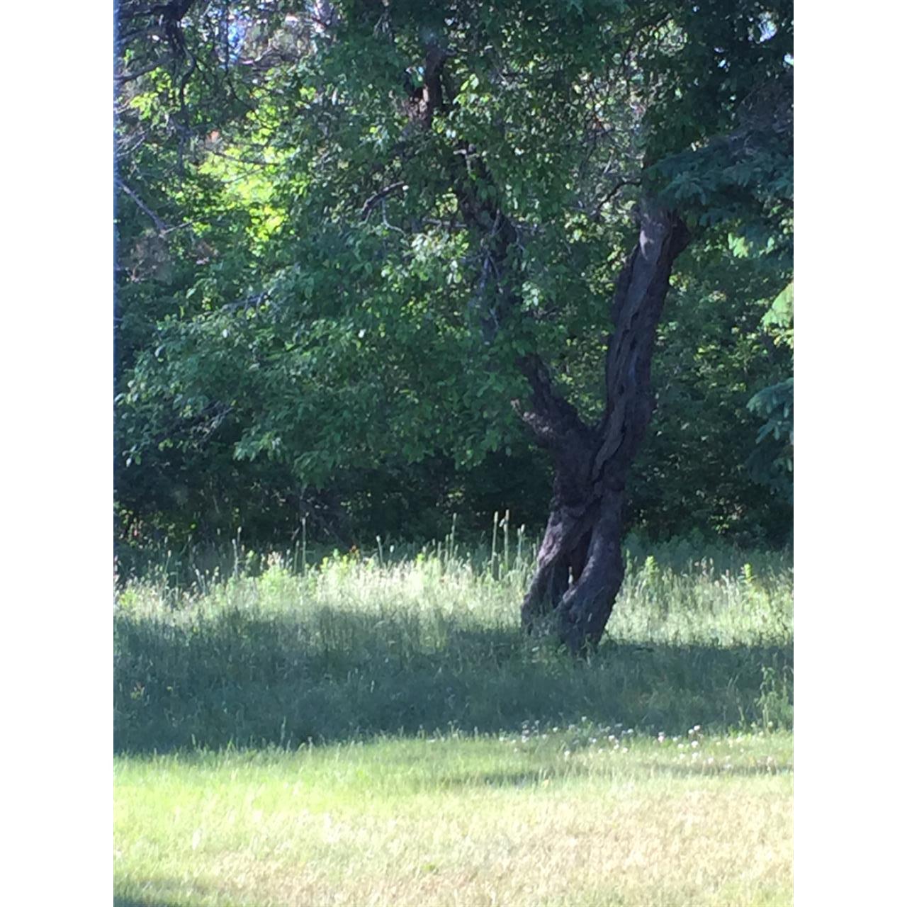 110 Jacksonville Road East Machias ME 04630