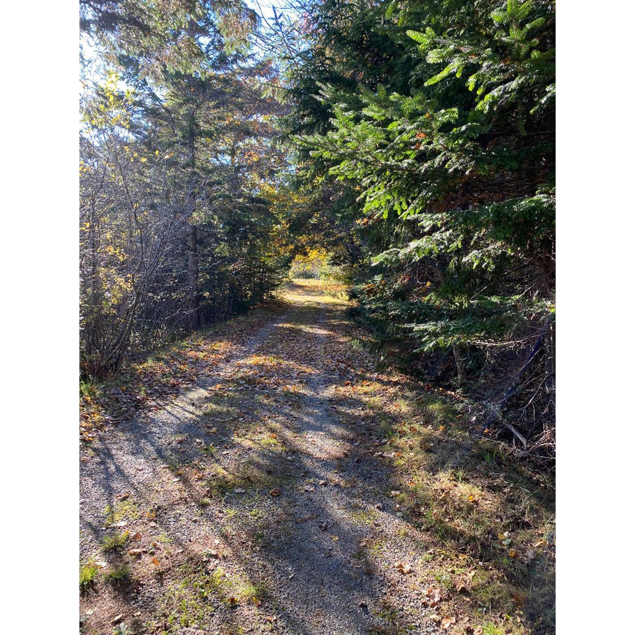 110 Jacksonville Road East Machias ME 04630