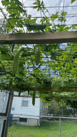 96 Holm Avenue Portland ME 04102