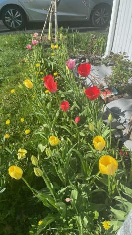 96 Holm Avenue Portland ME 04102