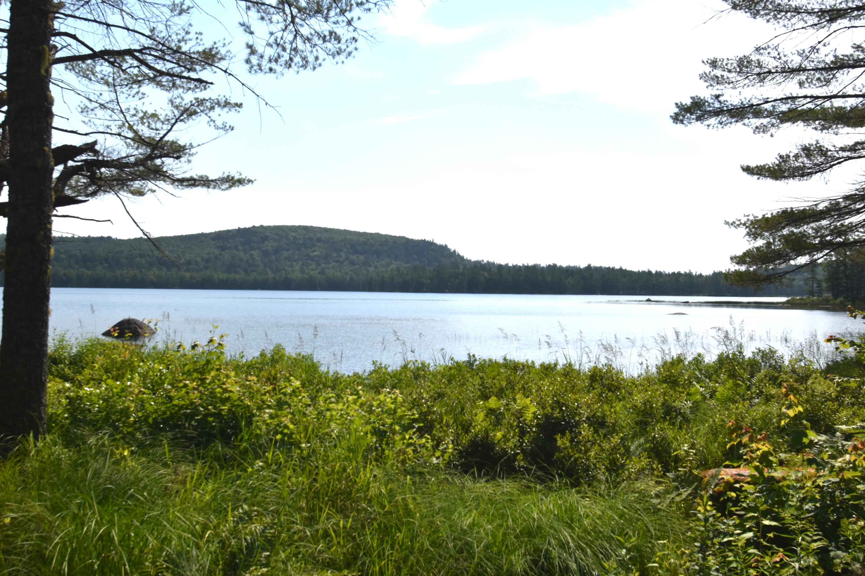 Map 5 Off Comstock Road Aurora ME 04408