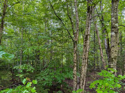 M1l58 Dipper Pond Road Carroll Plt ME 04487