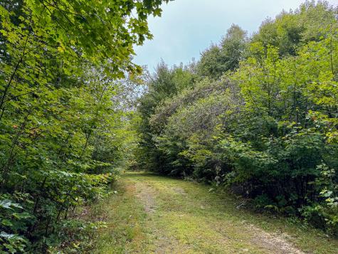 M1l58 Dipper Pond Road Carroll Plt ME 04487