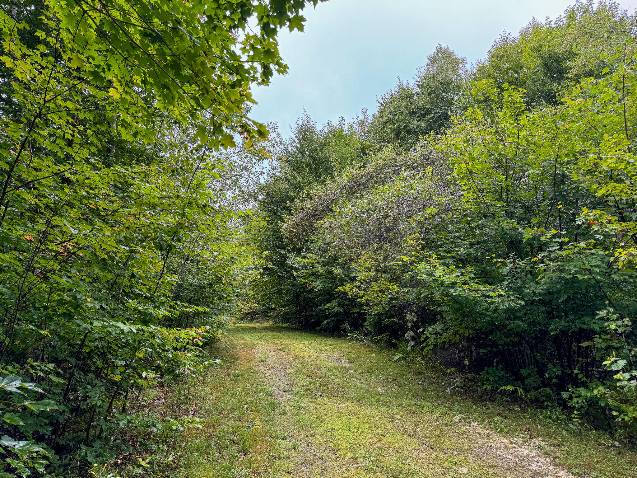 M1l58 Dipper Pond Road Carroll Plt ME 04487