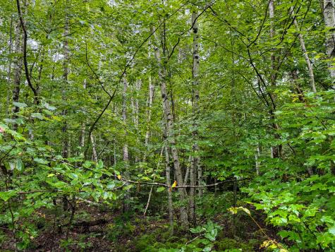 M1l58 Dipper Pond Road Carroll Plt ME 04487