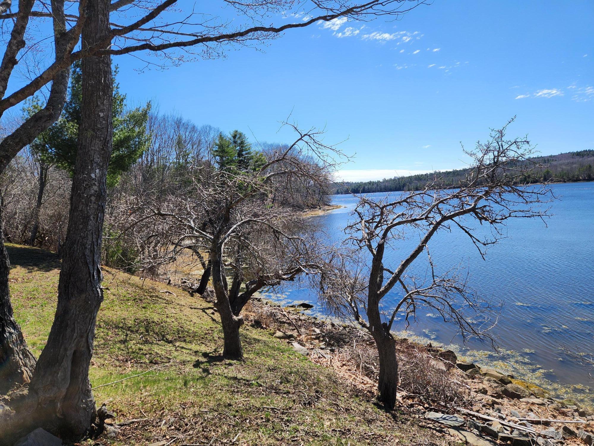 141 Gross Point Road Orland ME 04472