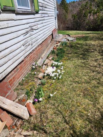 141 Gross Point Road Orland ME 04472