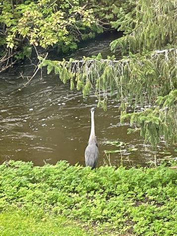 05 Chandler Court Houlton ME 04730