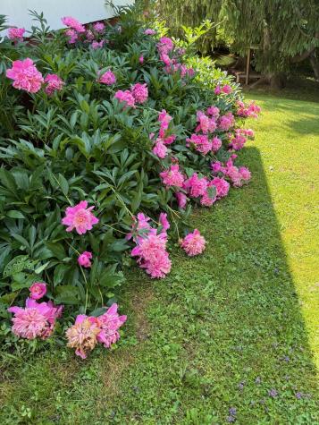 05 Chandler Court Houlton ME 04730