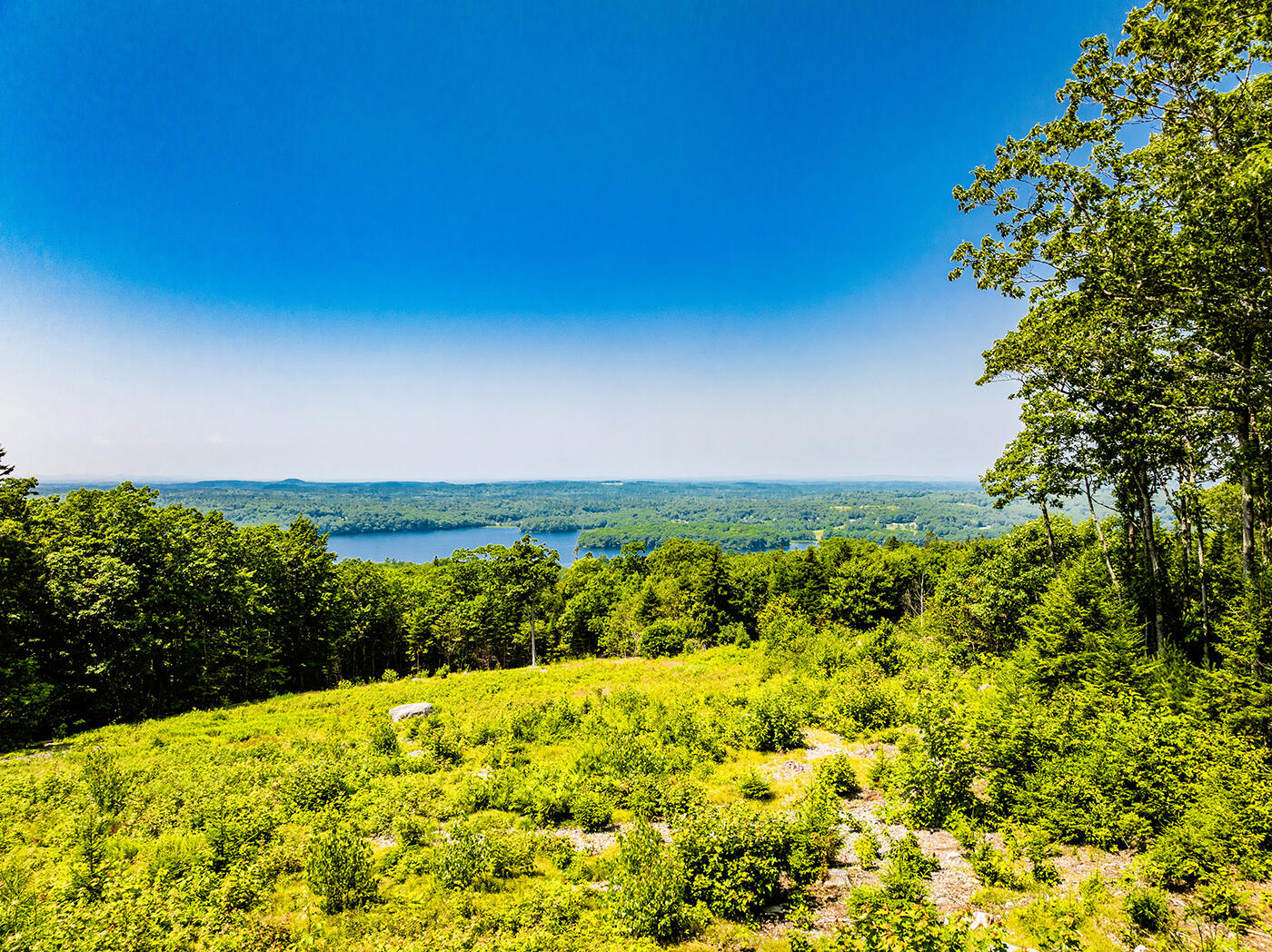 107 Acadian Oak Lane Sedgwick ME 04676