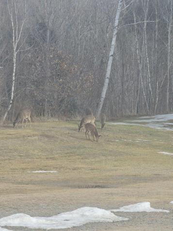 25 Old Bingham Road Solon ME 04979