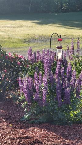 25 Old Bingham Road Solon ME 04979