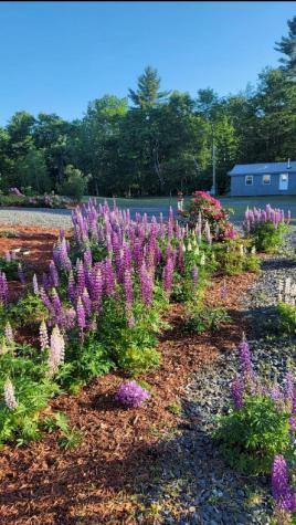 25 Old Bingham Road Solon ME 04979